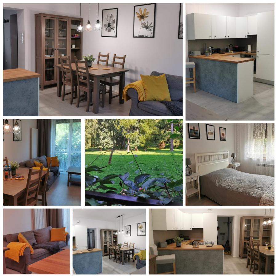 דירות Oświęcim Apartament W Parku מראה חיצוני תמונה
