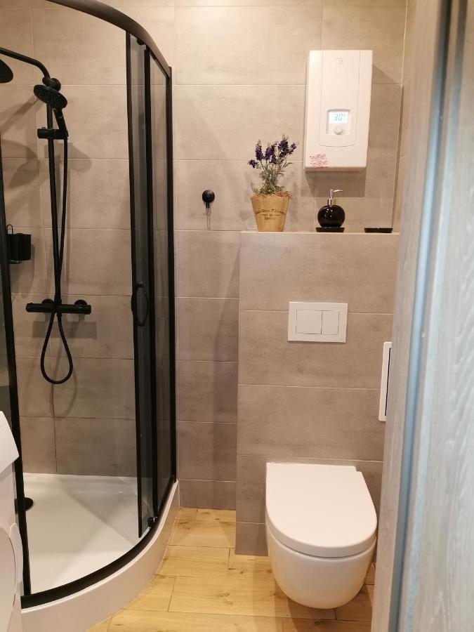 דירות Oświęcim Apartament W Parku מראה חיצוני תמונה